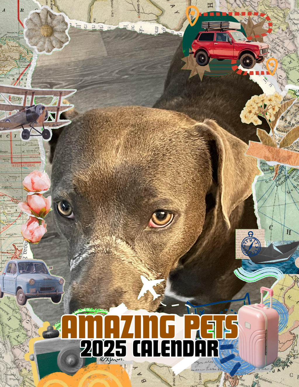 Amazing Pets: 2025 Wall Calendar (Pre-Order)