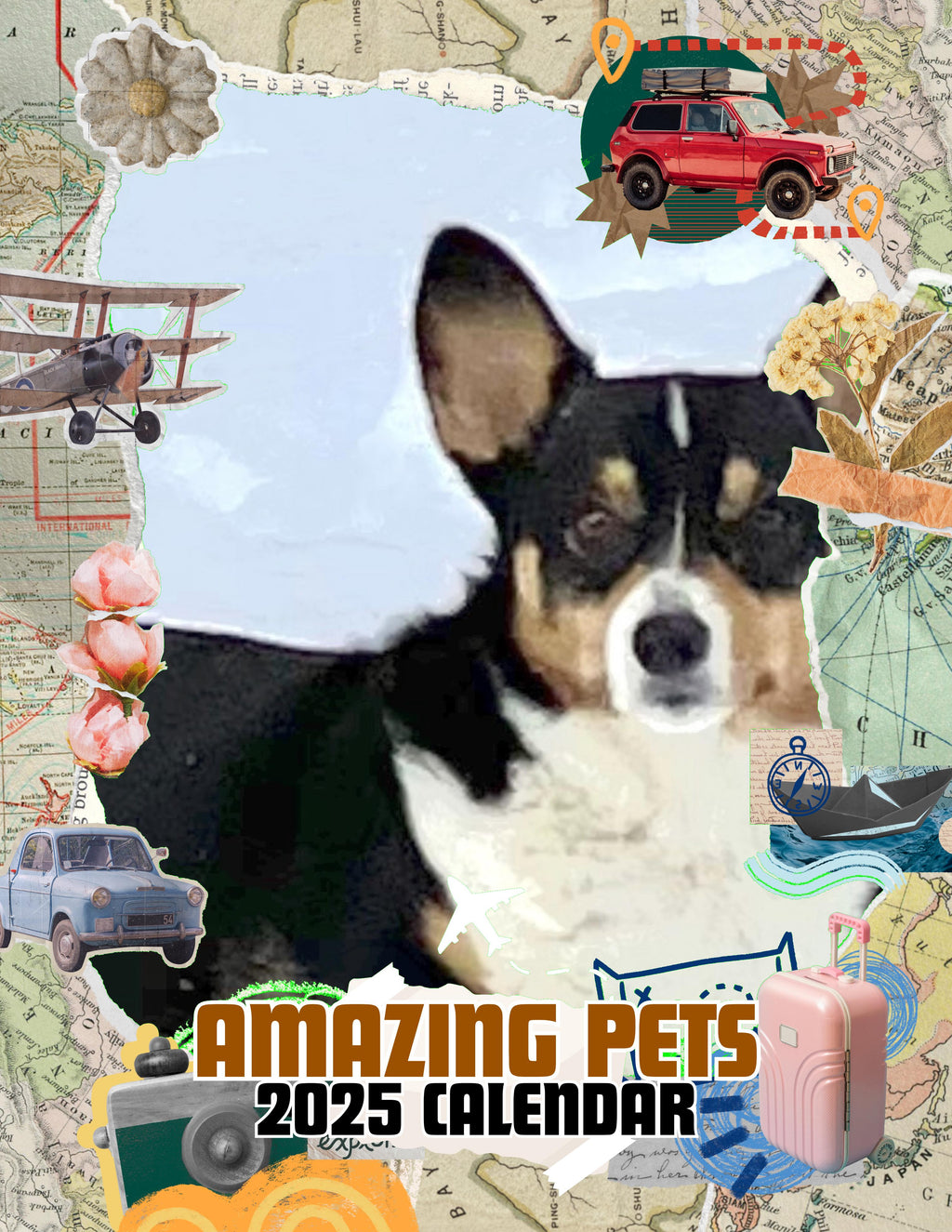 Amazing Pets: 2025 Wall Calendar (Pre-Order)