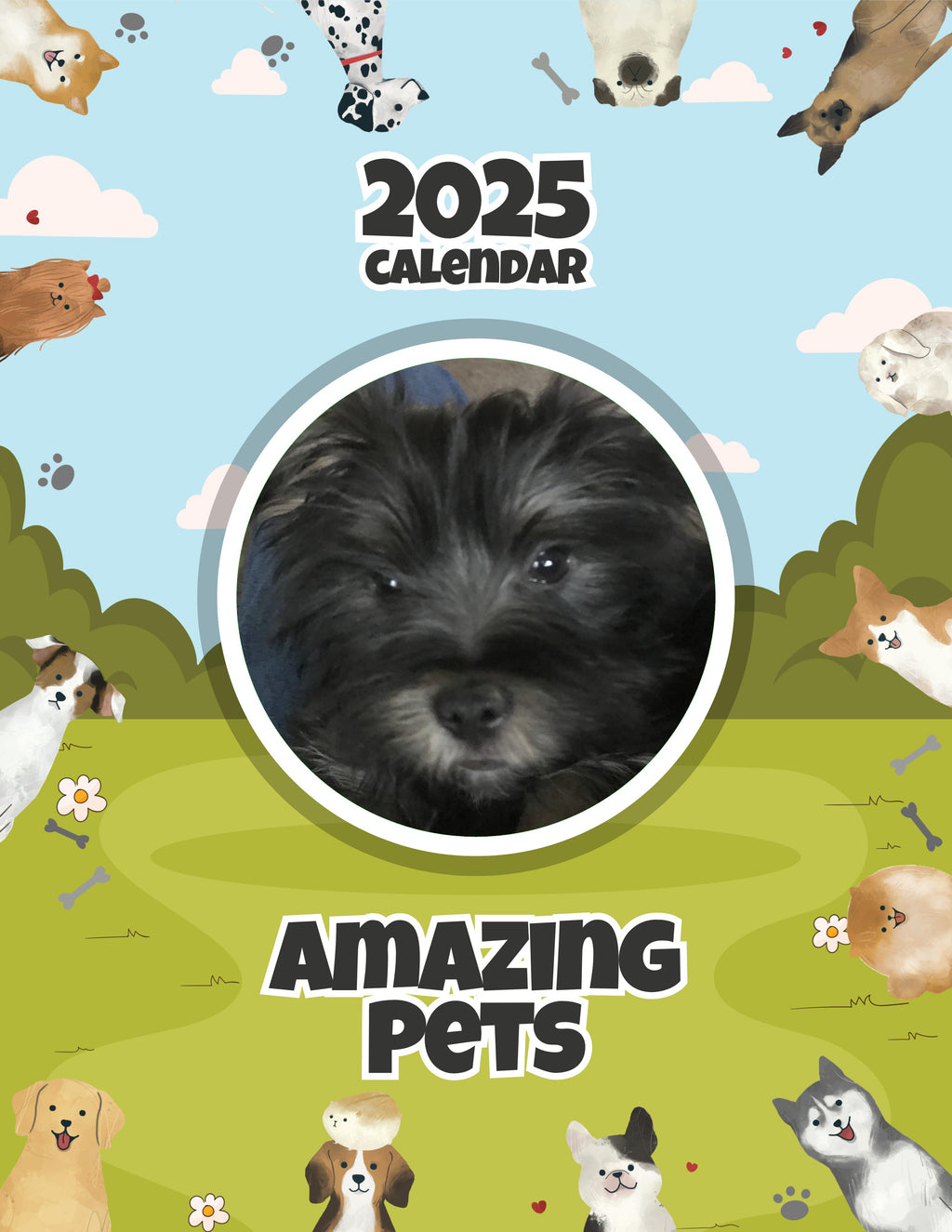 Amazing Pets: 2025 Wall Calendar (Pre-Order)
