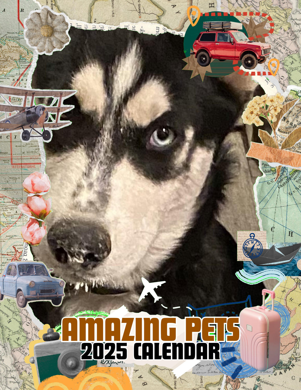 Amazing Pets: 2025 Wall Calendar (Pre-Order)