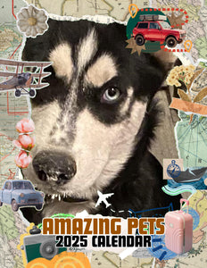 Amazing Pets: 2025 Wall Calendar (Pre-Order)