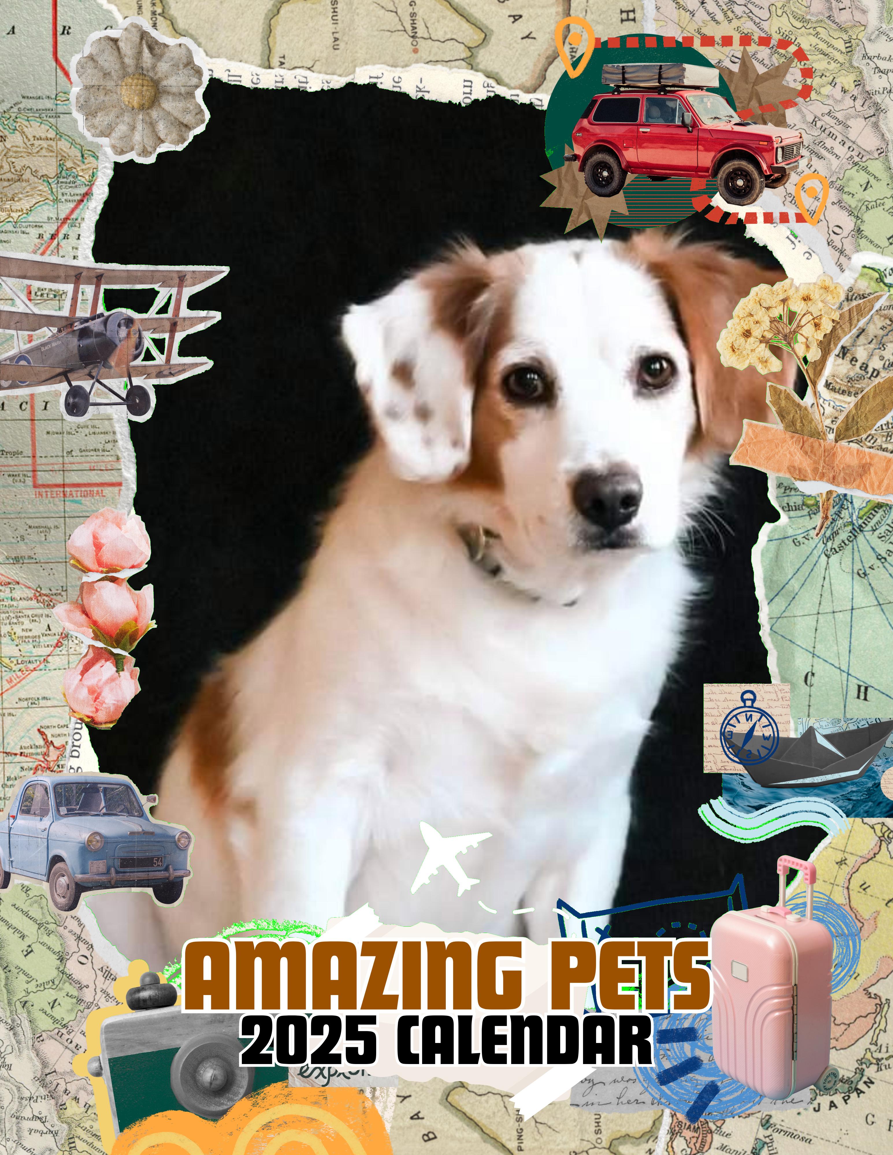 Amazing Pets: 2025 Wall Calendar (Pre-Order)