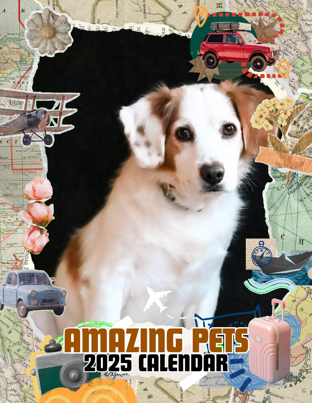 Amazing Pets: 2025 Wall Calendar (Pre-Order)