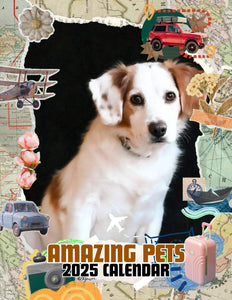 Amazing Pets: 2025 Wall Calendar (Pre-Order)