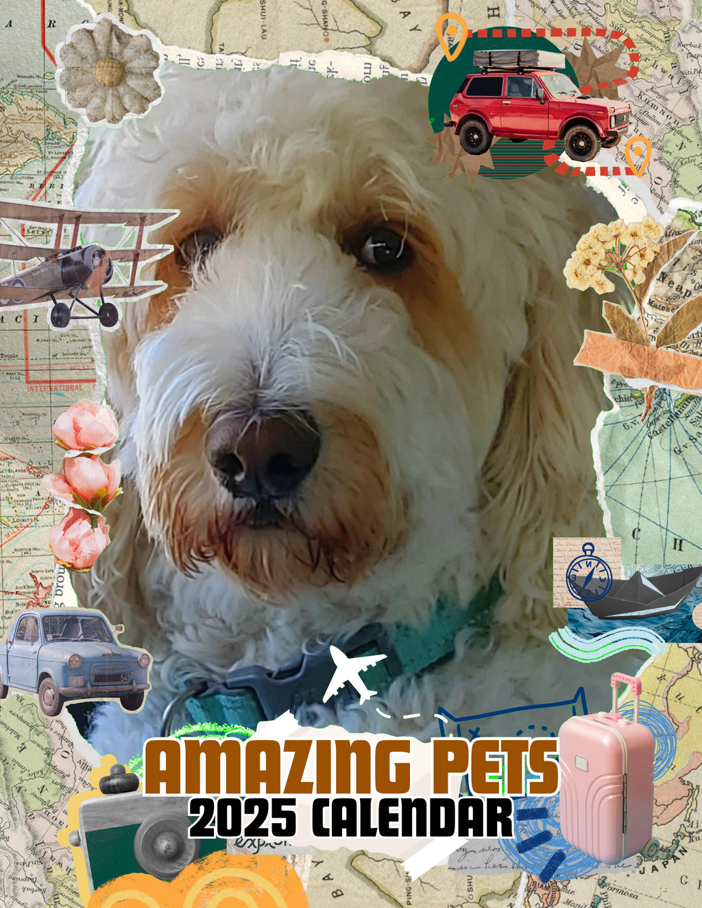 Amazing Pets: 2025 Wall Calendar (Pre-Order)