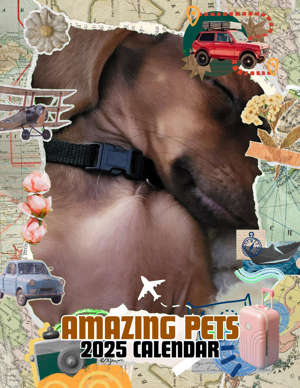 Amazing Pets: 2025 Wall Calendar (Pre-Order)