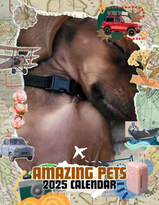 Amazing Pets: 2025 Wall Calendar (Pre-Order)