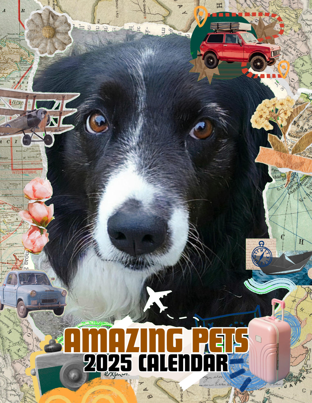 Amazing Pets: 2025 Wall Calendar (Pre-Order)