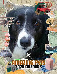 Amazing Pets: 2025 Wall Calendar (Pre-Order)