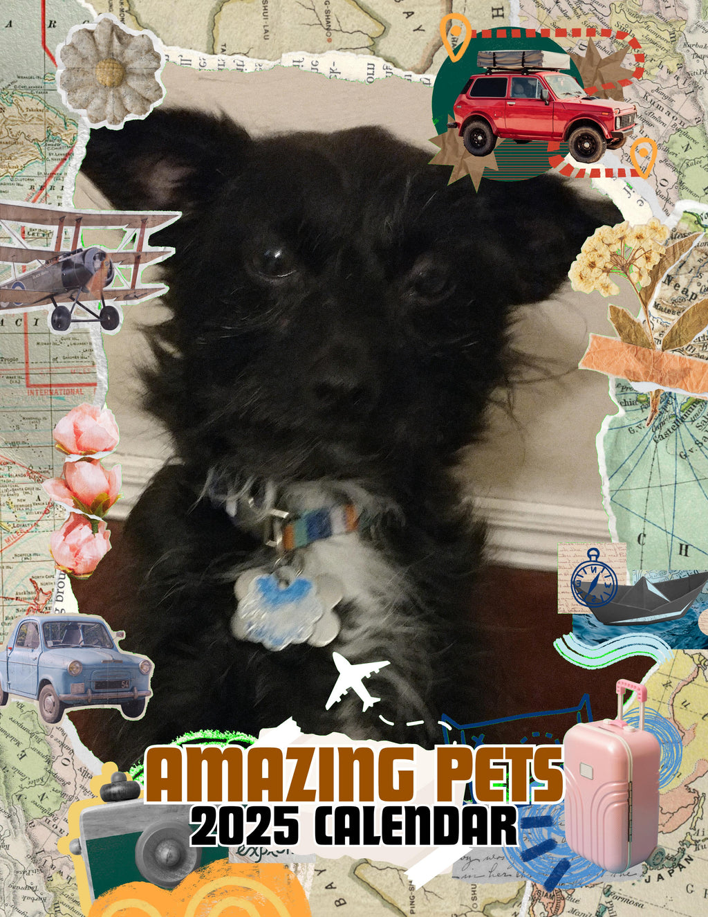 Amazing Pets: 2025 Wall Calendar (Pre-Order)