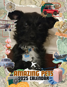 Amazing Pets: 2025 Wall Calendar (Pre-Order)
