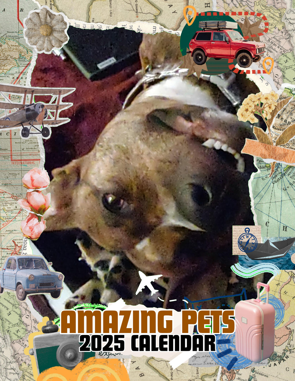 Amazing Pets: 2025 Wall Calendar (Pre-Order)