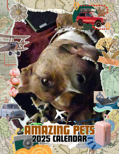 Amazing Pets: 2025 Wall Calendar (Pre-Order)