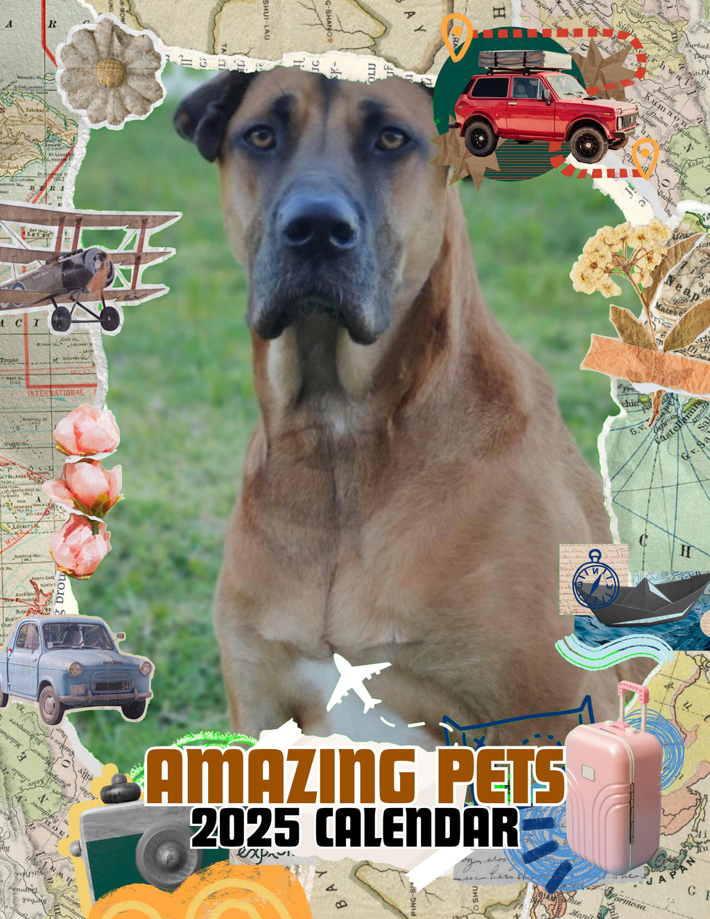Amazing Pets: 2025 Wall Calendar (Pre-Order)