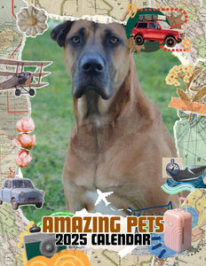 Amazing Pets: 2025 Wall Calendar (Pre-Order)