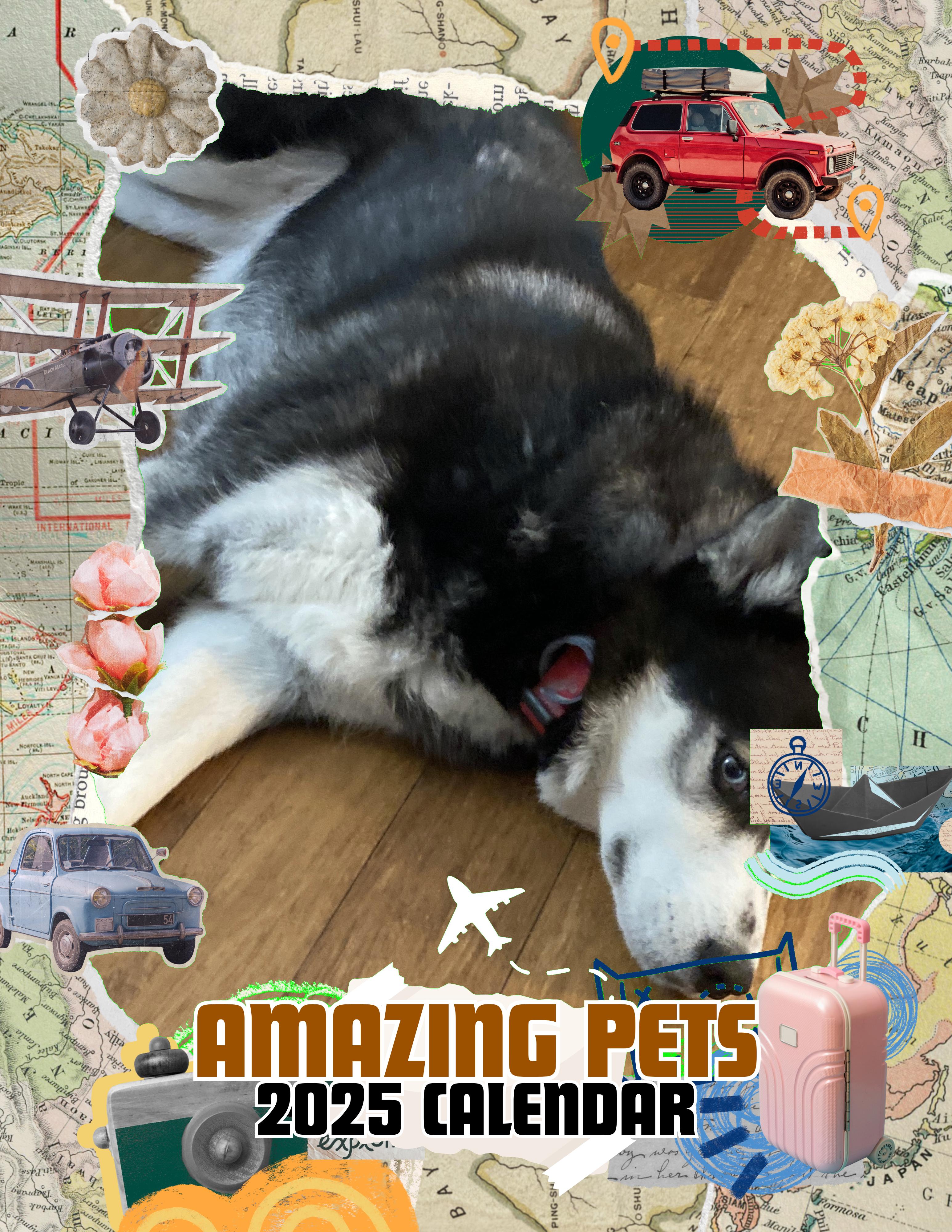 Amazing Pets: 2025 Wall Calendar (Pre-Order)