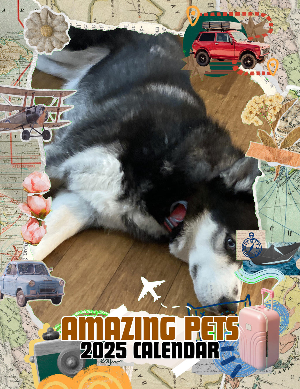 Amazing Pets: 2025 Wall Calendar (Pre-Order)