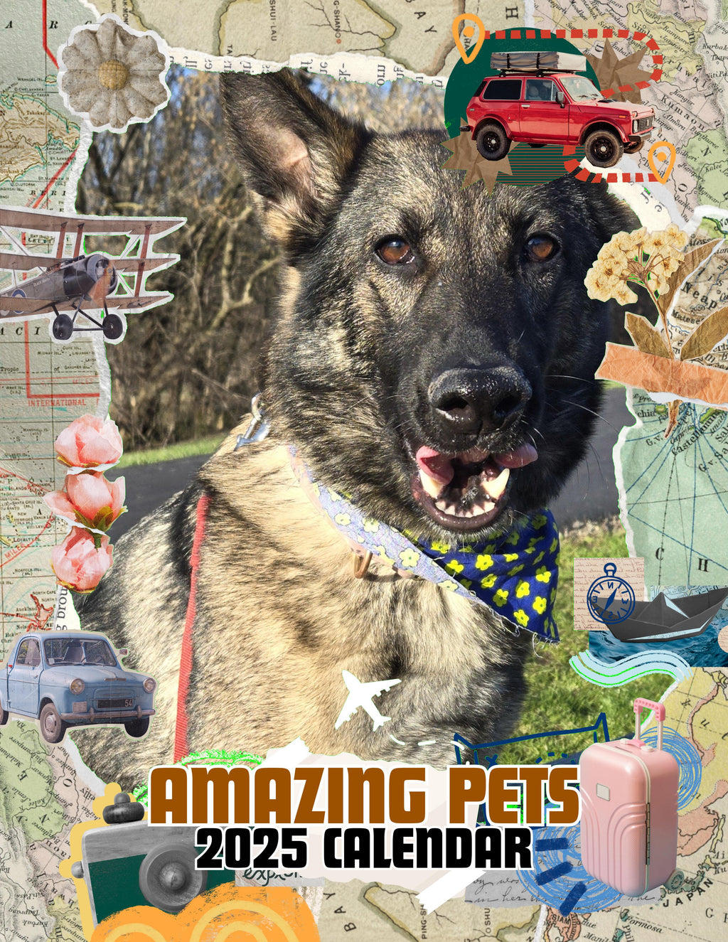 Amazing Pets: 2025 Wall Calendar (Pre-Order)
