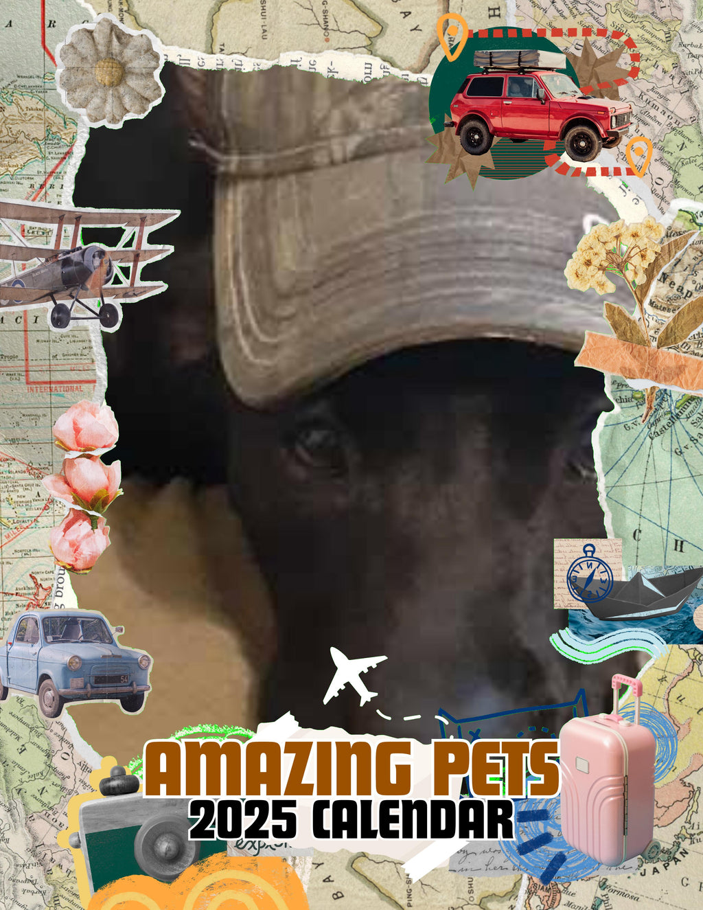 Amazing Pets: 2025 Wall Calendar (Pre-Order)