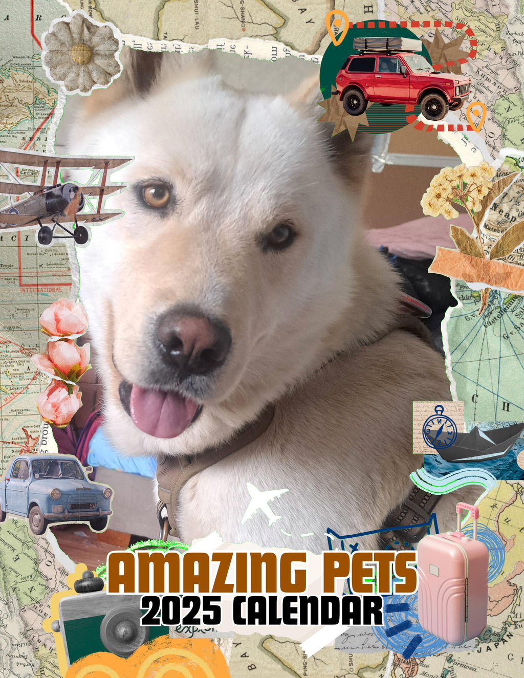 Amazing Pets: 2025 Wall Calendar (Pre-Order)