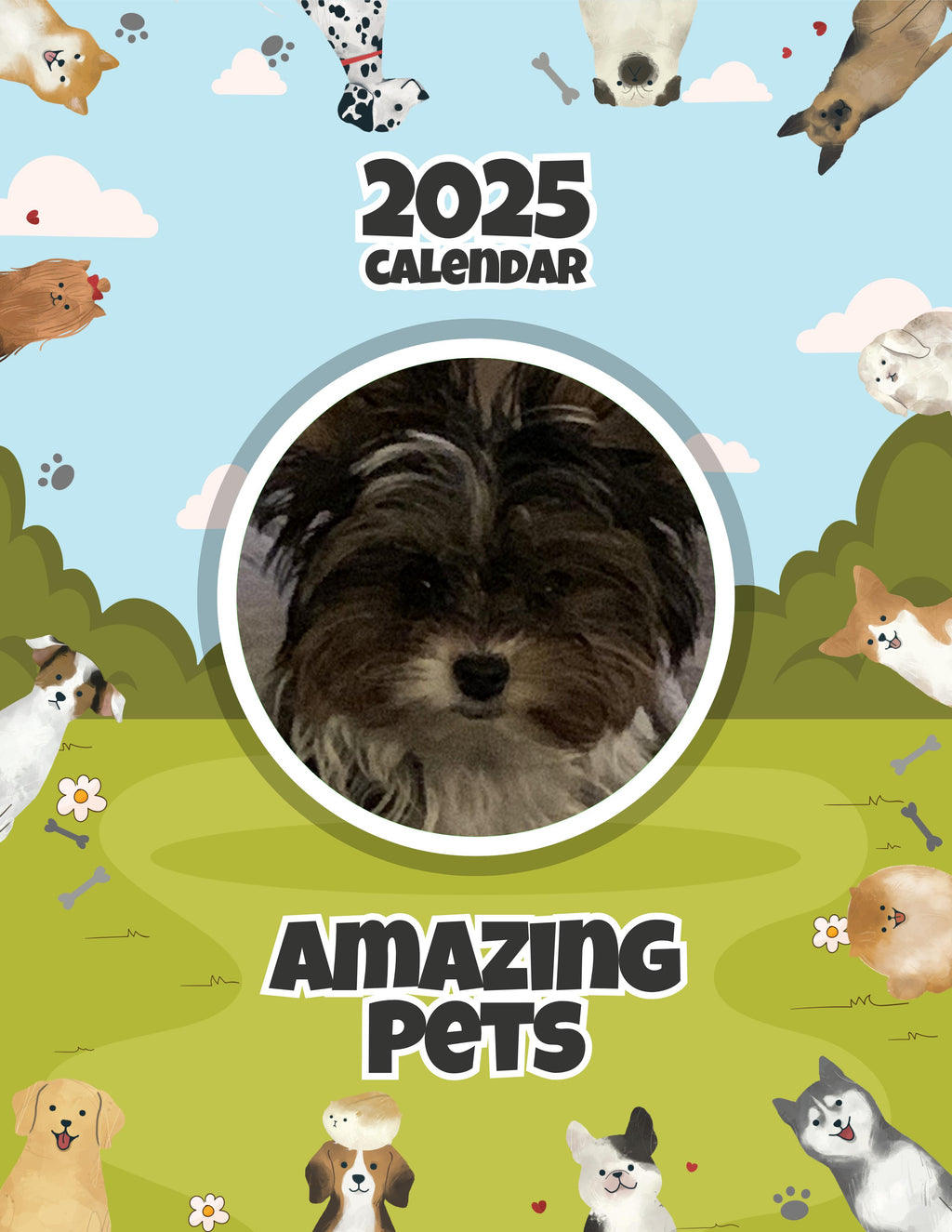 Amazing Pets: 2025 Wall Calendar (Pre-Order)