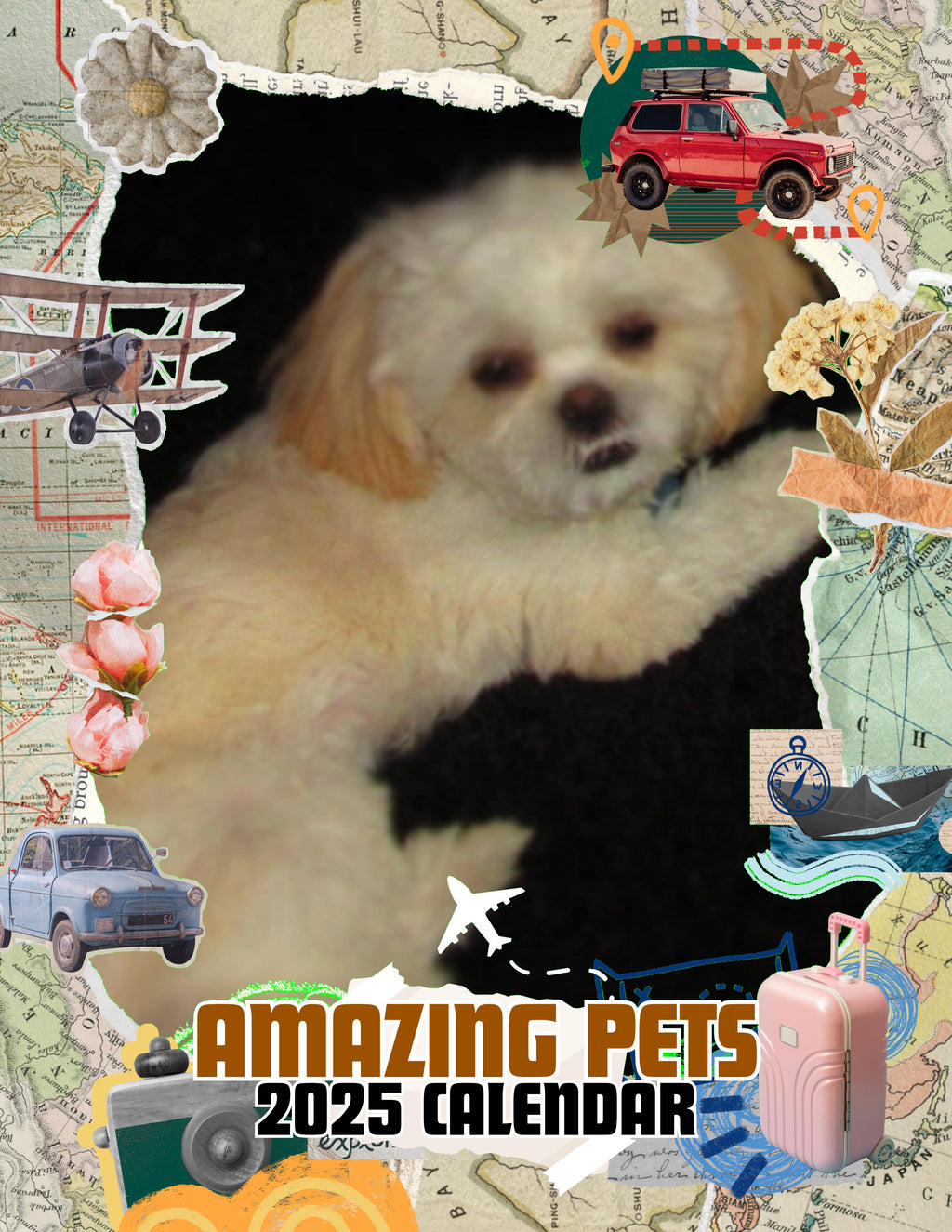 Amazing Pets: 2025 Wall Calendar (Pre-Order)