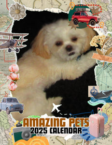 Amazing Pets: 2025 Wall Calendar (Pre-Order)