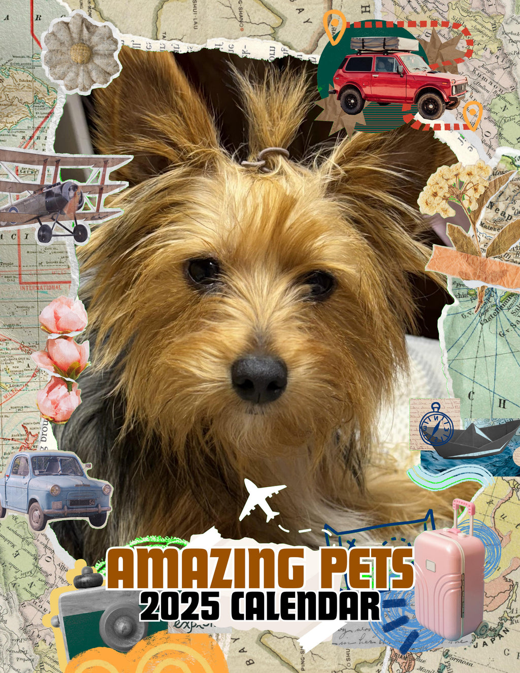 Amazing Pets: 2025 Wall Calendar (Pre-Order)