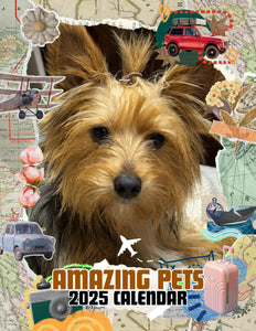 Amazing Pets: 2025 Wall Calendar (Pre-Order)