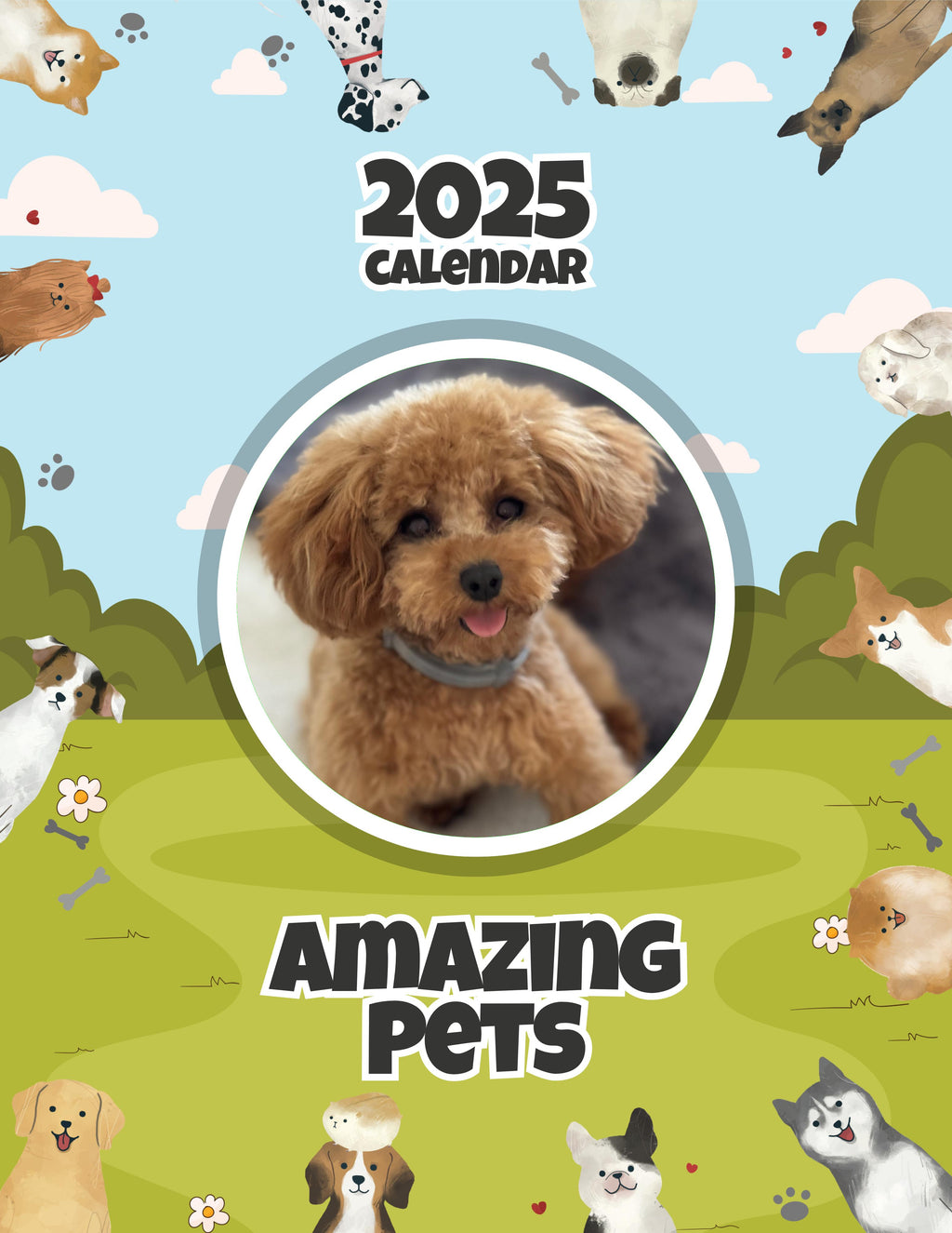 Amazing Pets: 2025 Wall Calendar (Pre-Order)