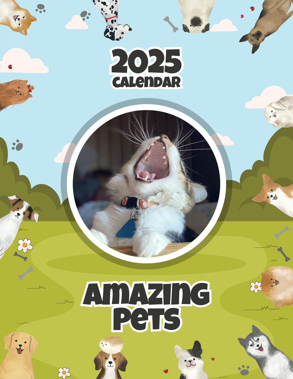 Amazing Pets: 2025 Wall Calendar (Pre-Order)
