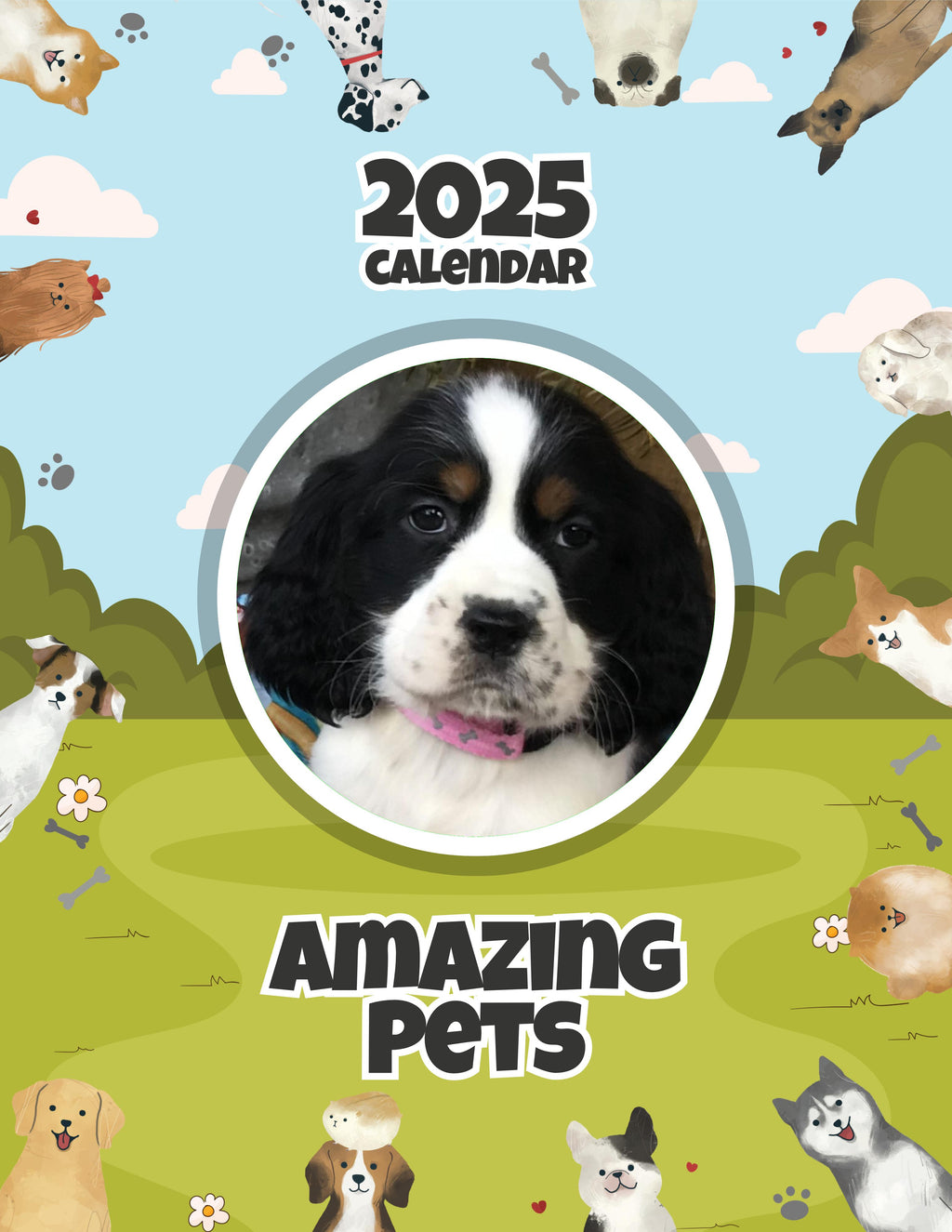 Amazing Pets: 2025 Wall Calendar (Pre-Order)