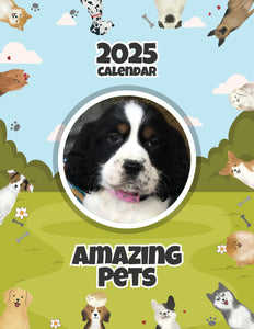 Amazing Pets: 2025 Wall Calendar (Pre-Order)