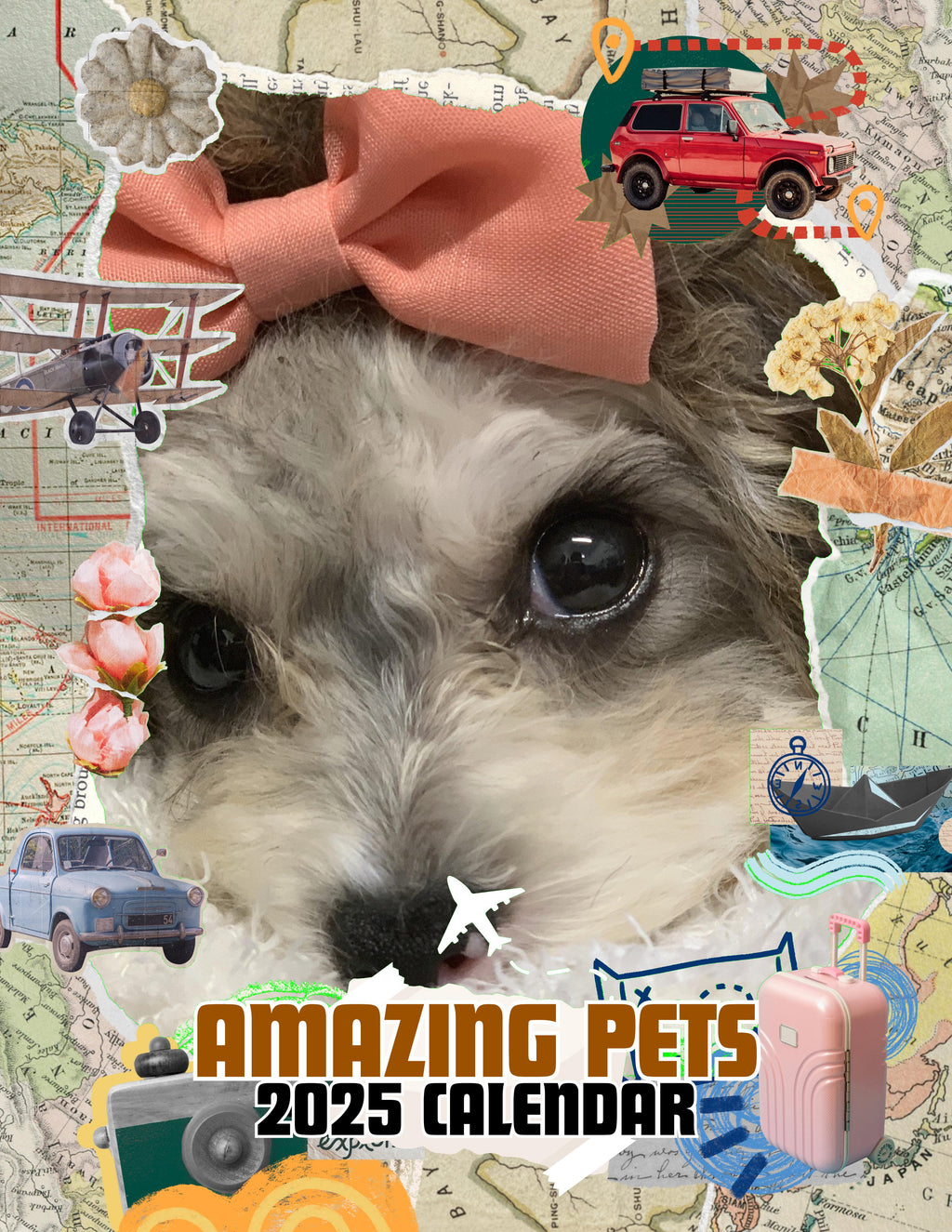Amazing Pets: 2025 Wall Calendar (Pre-Order)