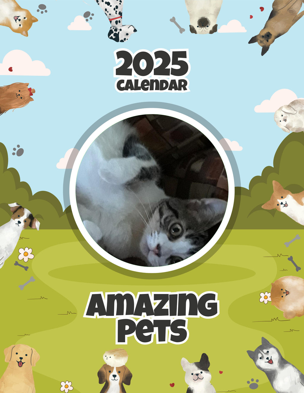 Amazing Pets: 2025 Wall Calendar (Pre-Order)
