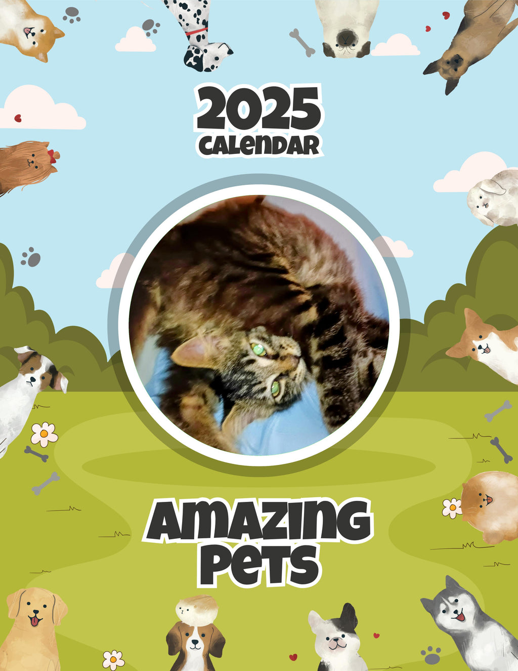 Amazing Pets: 2025 Wall Calendar (Pre-Order)