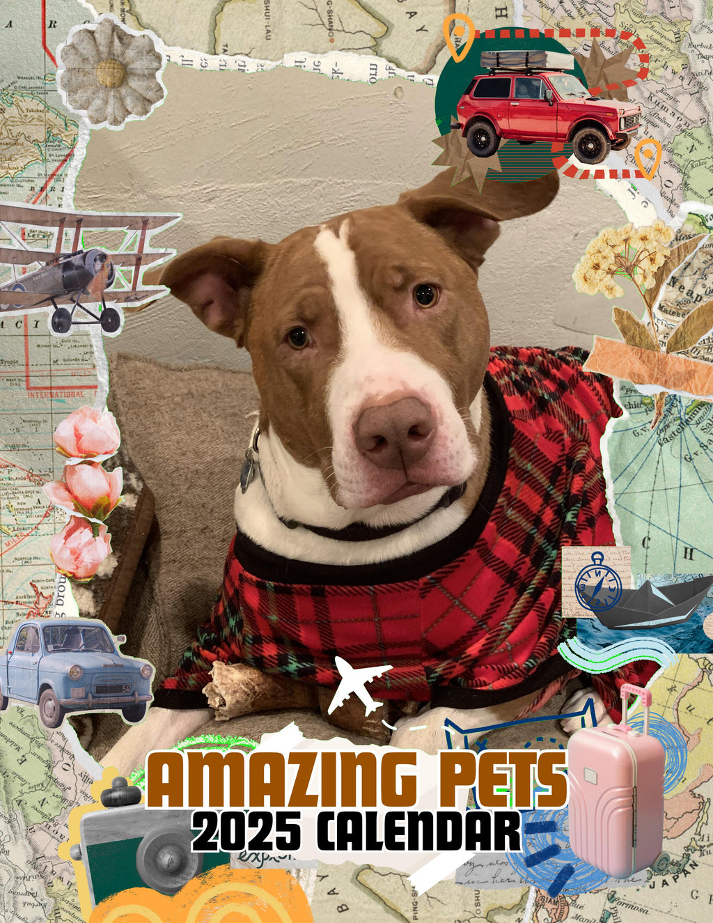 Amazing Pets: 2025 Wall Calendar (Pre-Order)