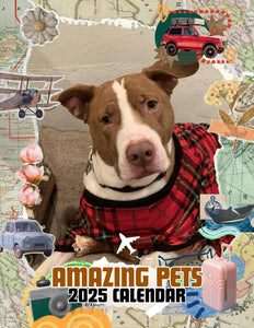 Amazing Pets: 2025 Wall Calendar (Pre-Order)