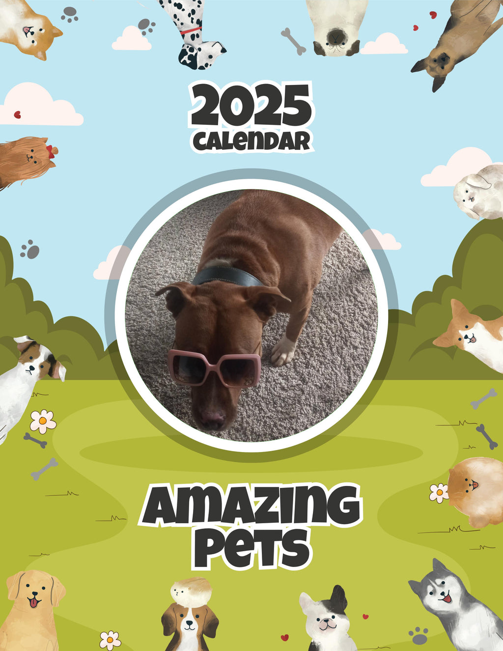 Amazing Pets: 2025 Wall Calendar (Pre-Order)