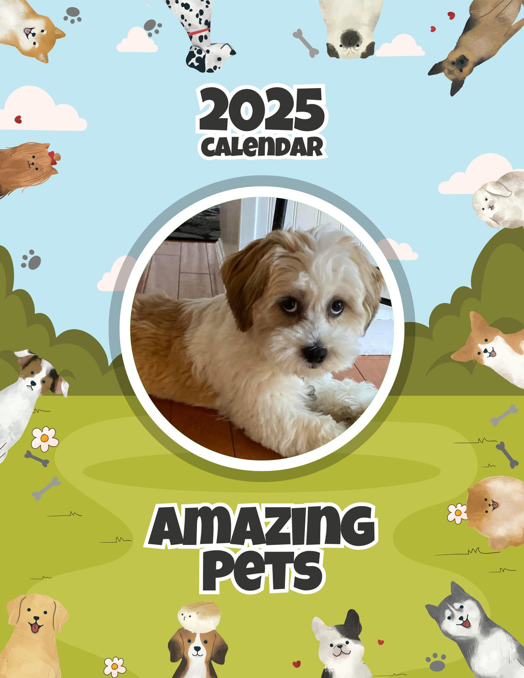 Amazing Pets: 2025 Wall Calendar (Pre-Order)