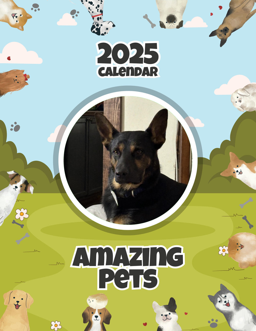Amazing Pets: 2025 Wall Calendar (Pre-Order)