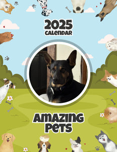 Amazing Pets: 2025 Wall Calendar (Pre-Order)