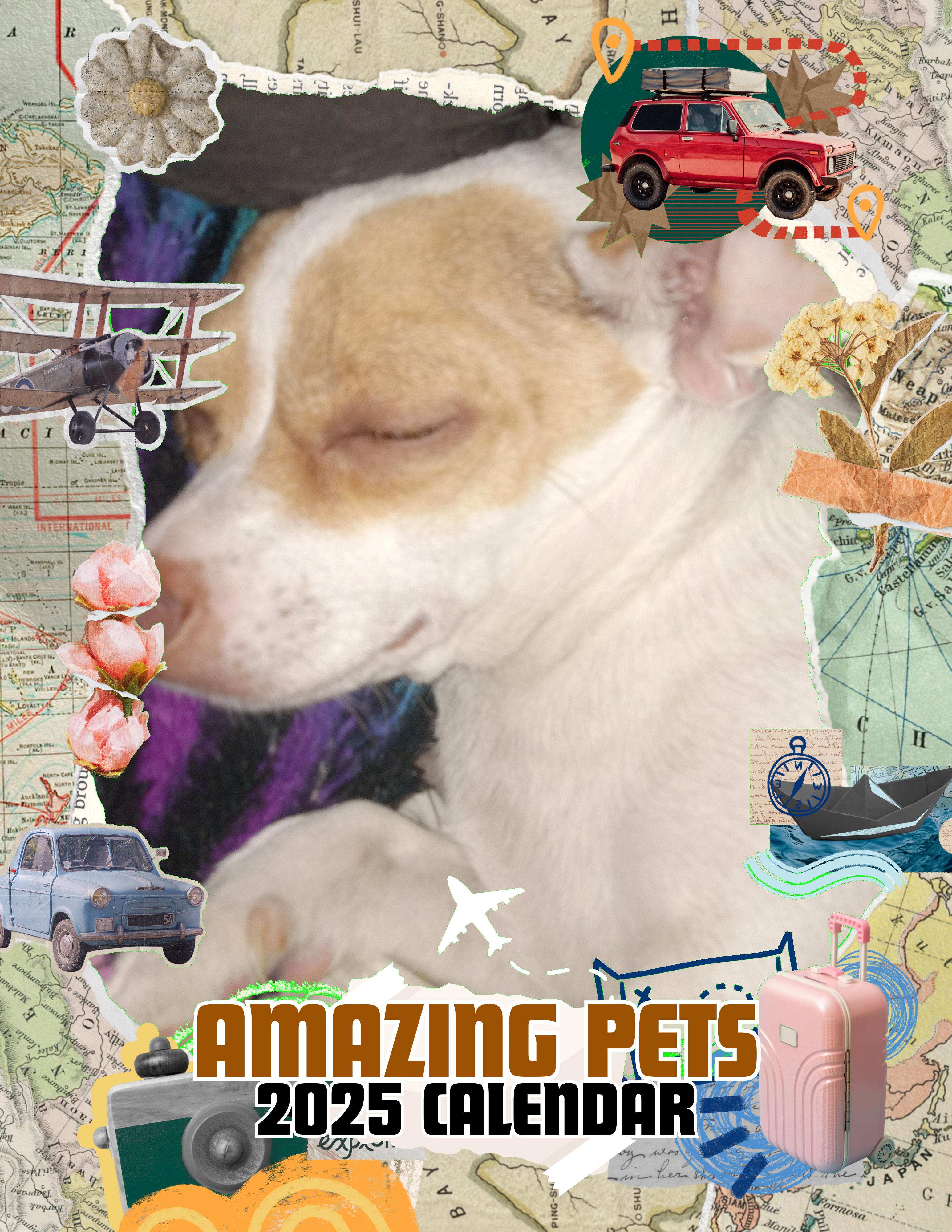Amazing Pets: 2025 Wall Calendar (Pre-Order)