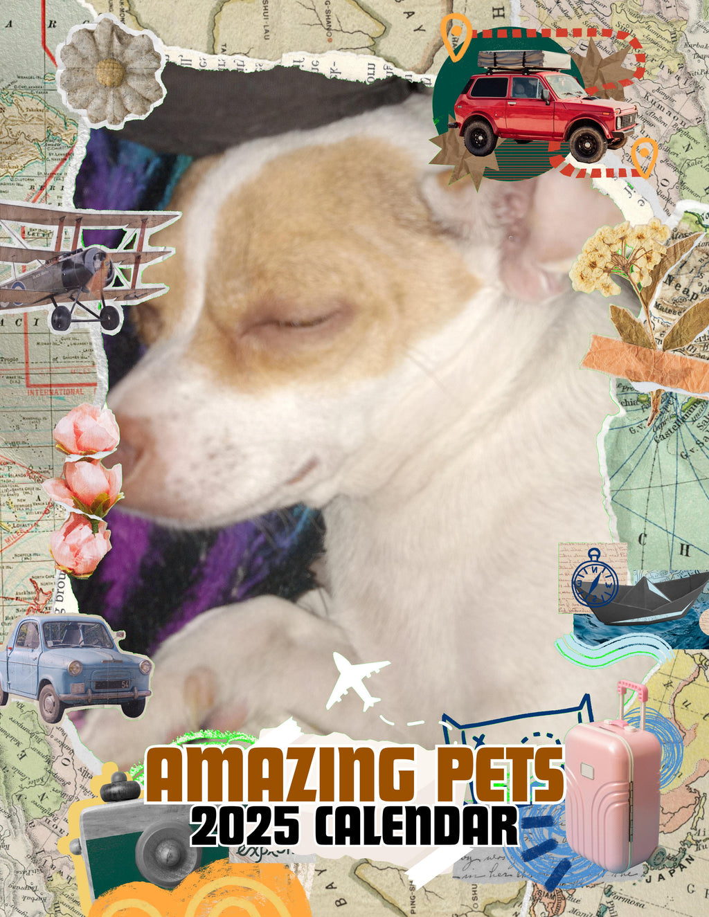 Amazing Pets: 2025 Wall Calendar (Pre-Order)