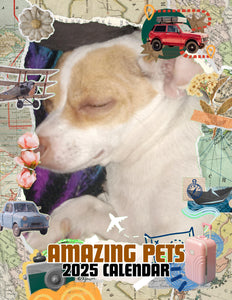 Amazing Pets: 2025 Wall Calendar (Pre-Order)