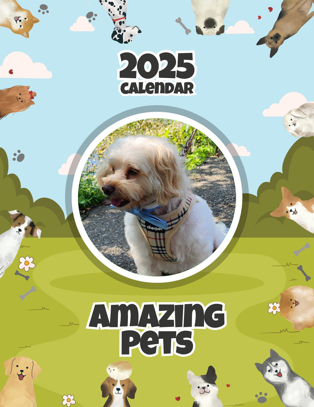 Amazing Pets: 2025 Wall Calendar (Pre-Order)