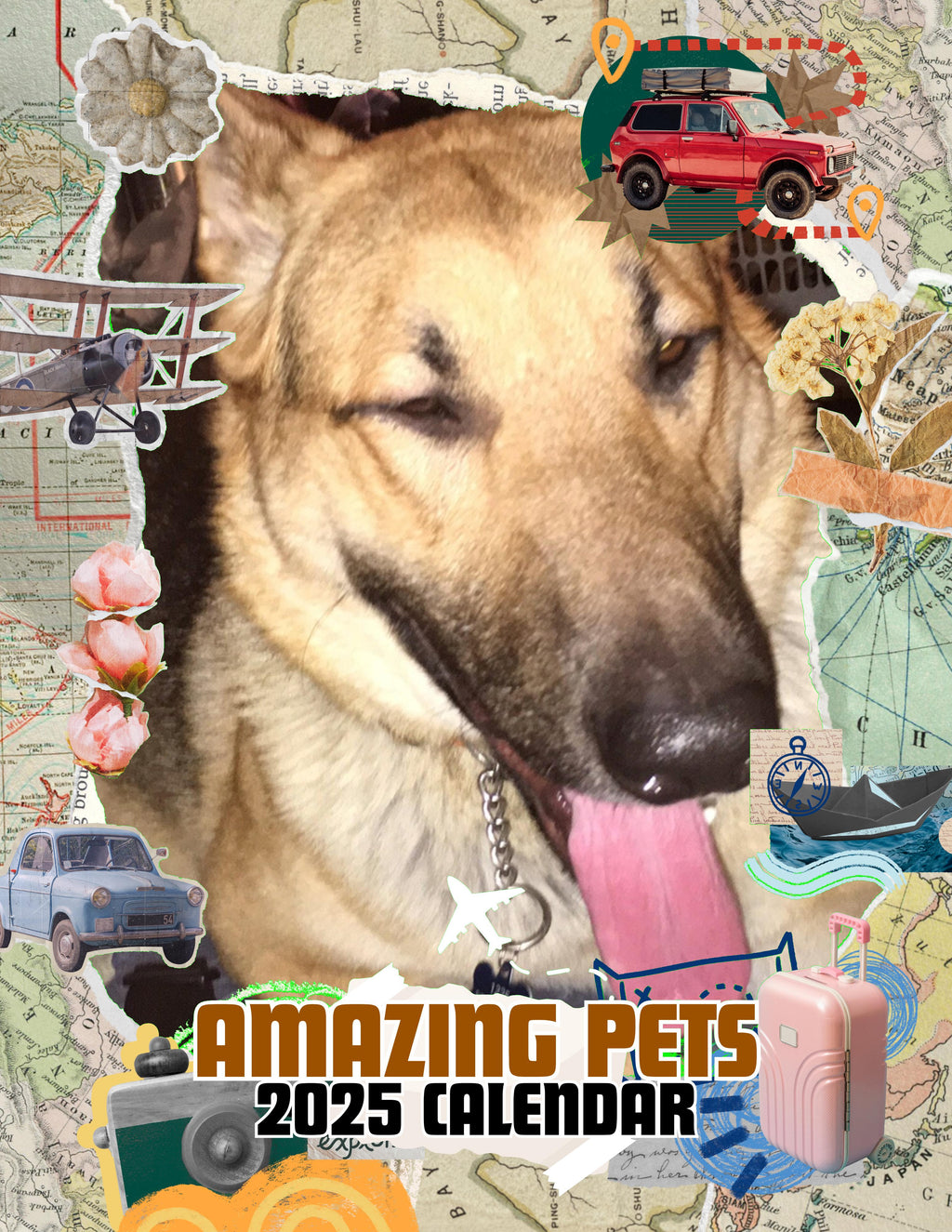 Amazing Pets: 2025 Wall Calendar (Pre-Order)