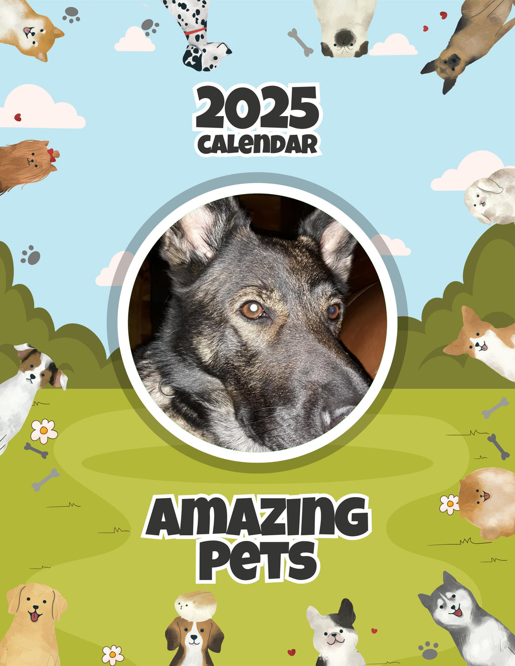 Amazing Pets: 2025 Wall Calendar (Pre-Order)