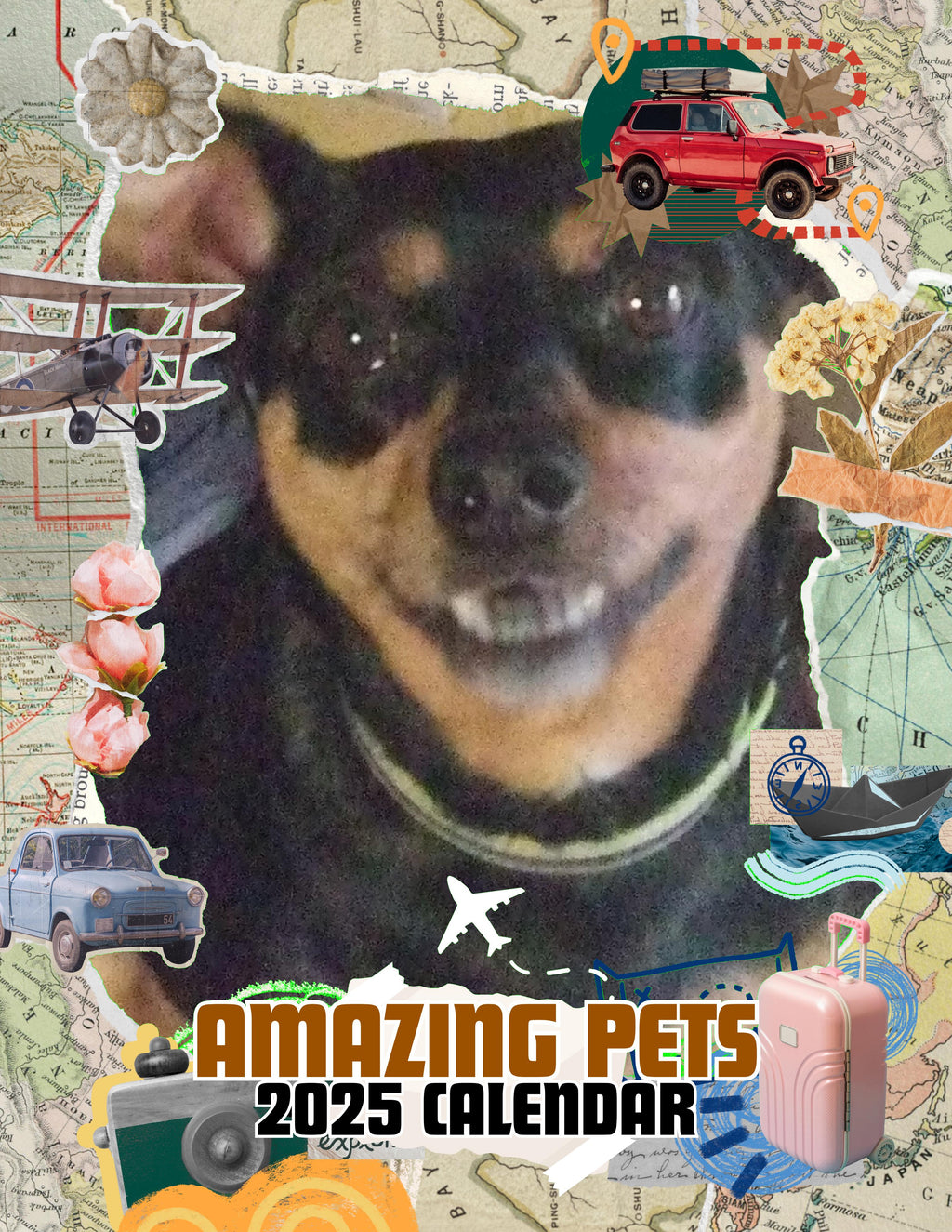 Amazing Pets: 2025 Wall Calendar (Pre-Order)