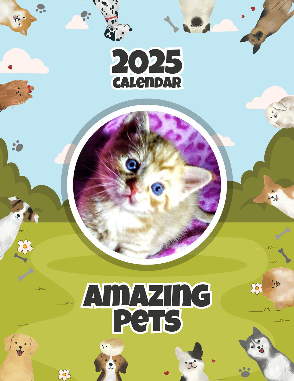 Amazing Pets: 2025 Wall Calendar (Pre-Order)